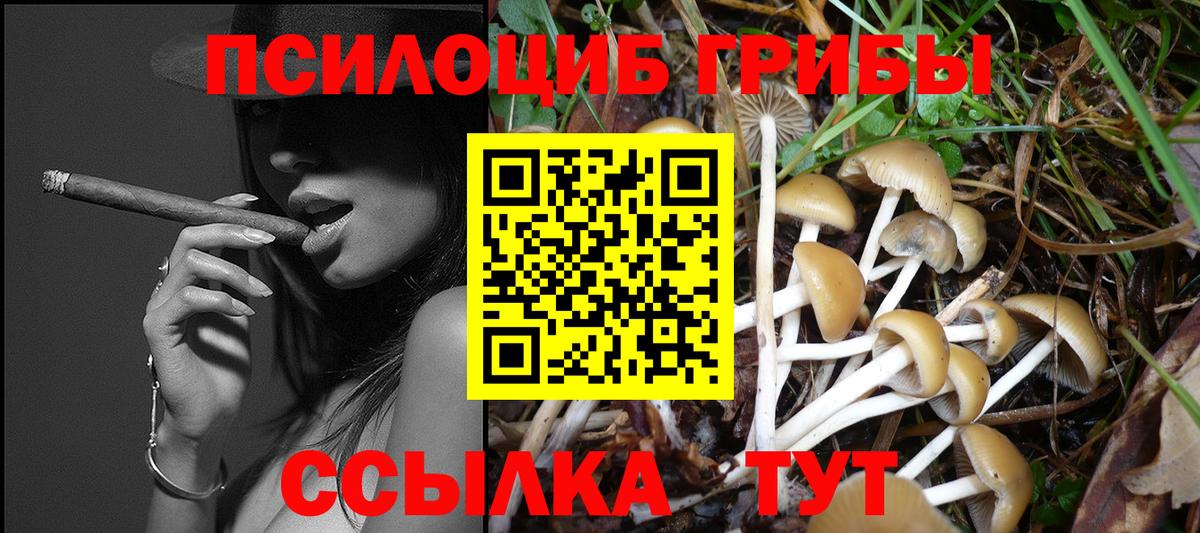 Псилоцибиновые грибы ЛСД  Вход с VPN  Белгород  Псилоцибиновые грибы MAGIC MUSHROOMS 